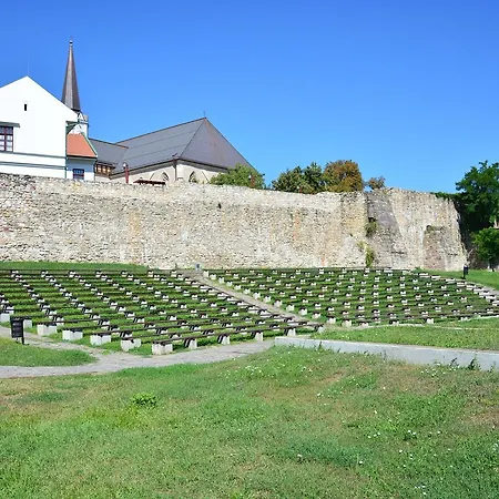Furmint